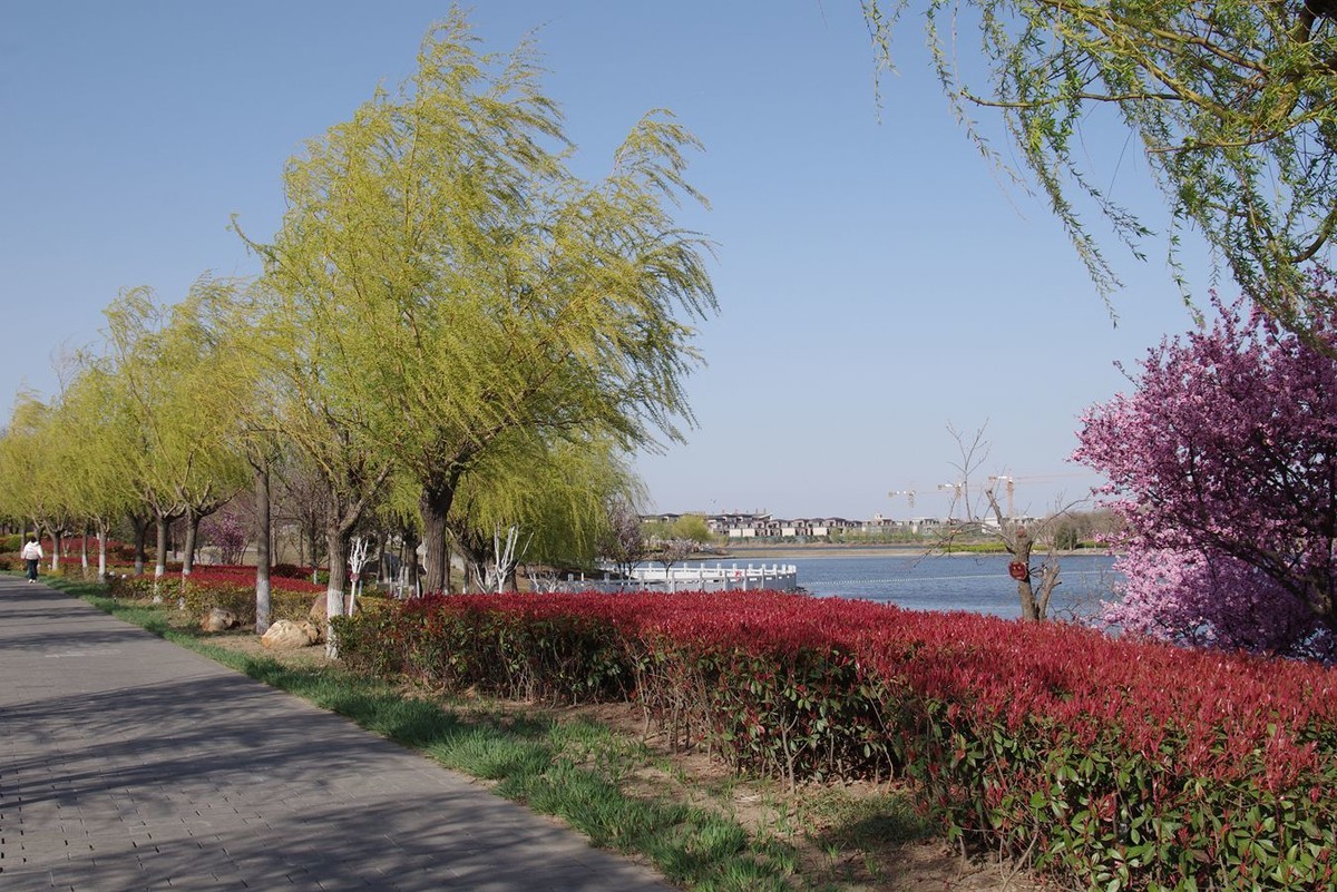 柳绿花红舞春风