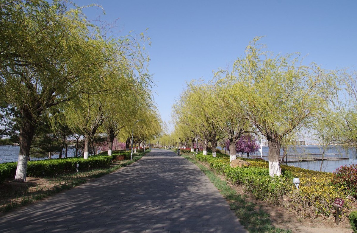 柳绿花红舞春风