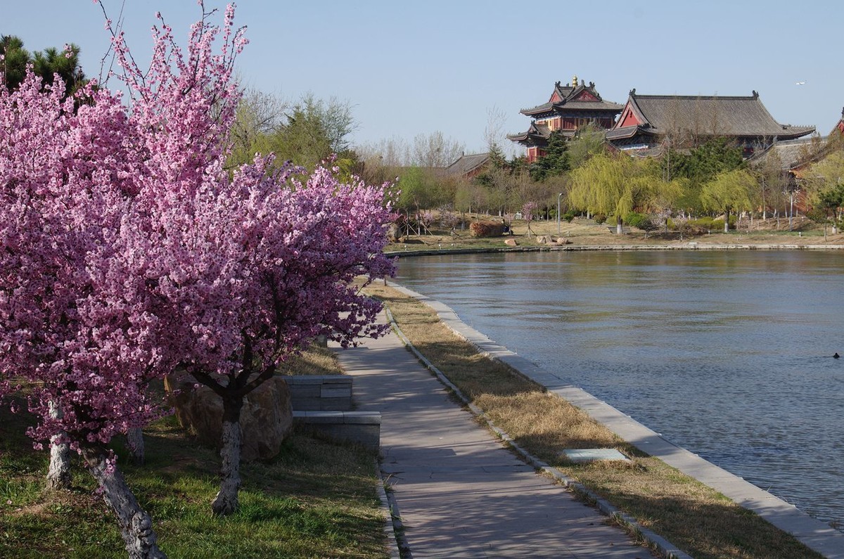 柳绿花红舞春风