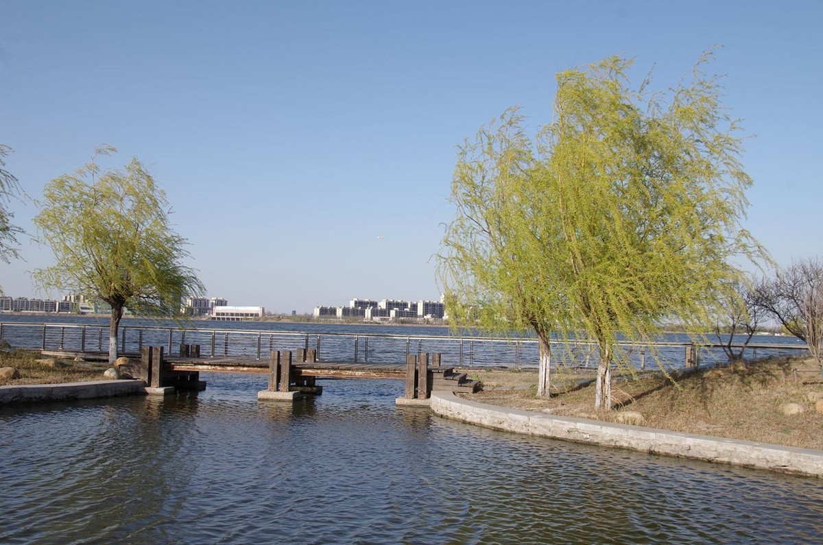 柳绿花红舞春风