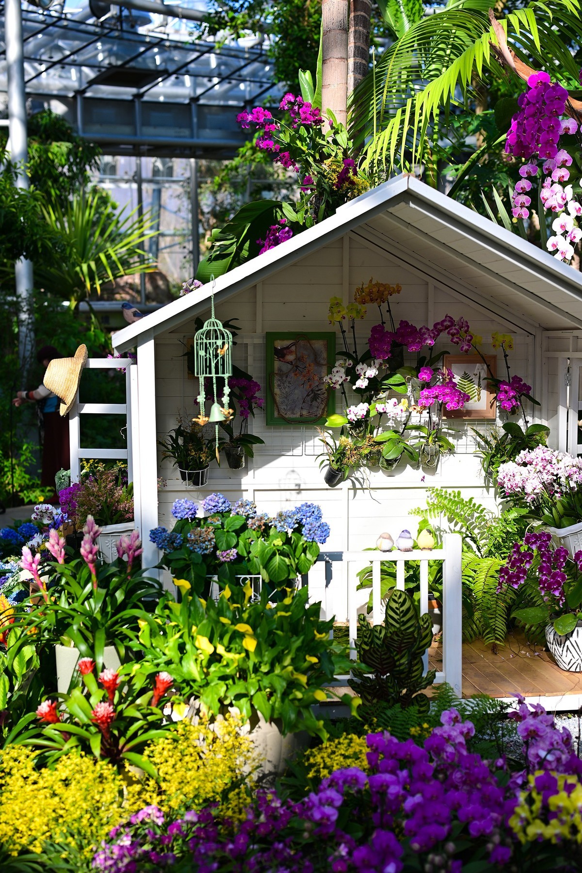 植物园里的花卉