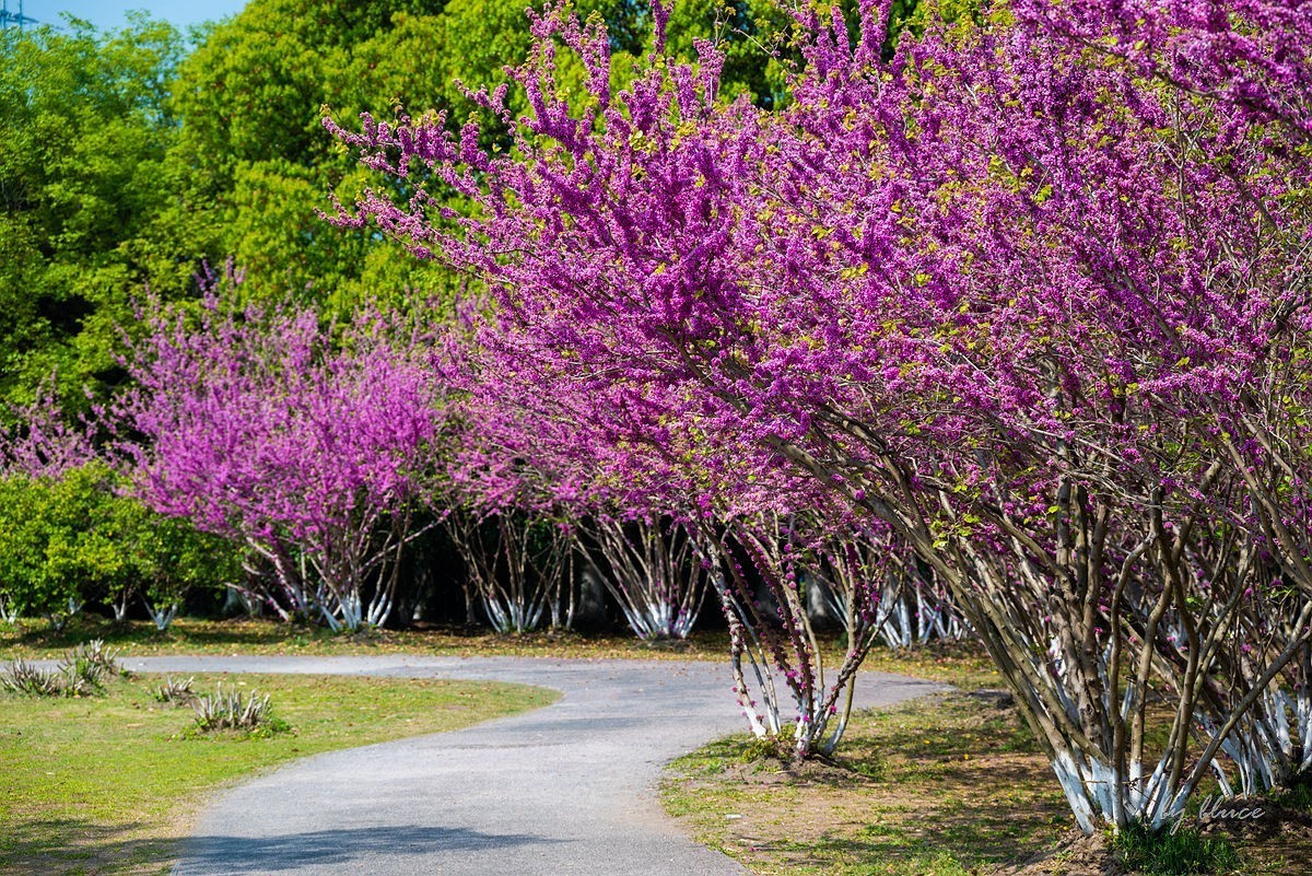 苏州植物园掠影（4）
