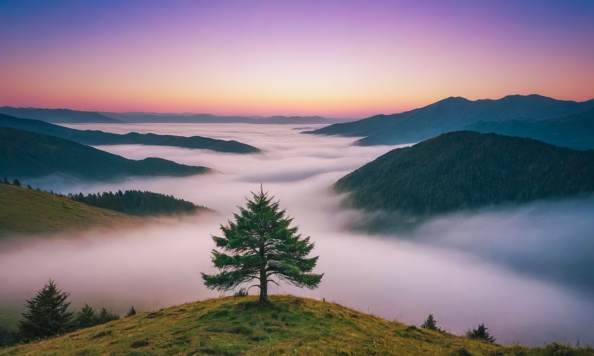 找到自己的宁静与美好