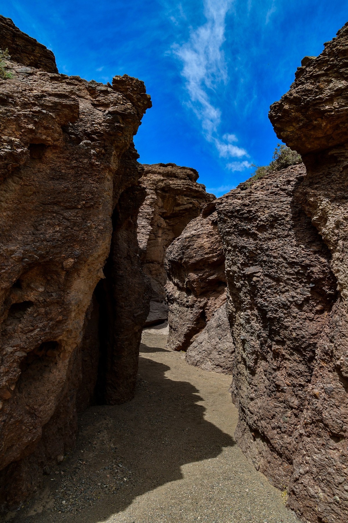 我只是把出去看到的随手记录下来（195）