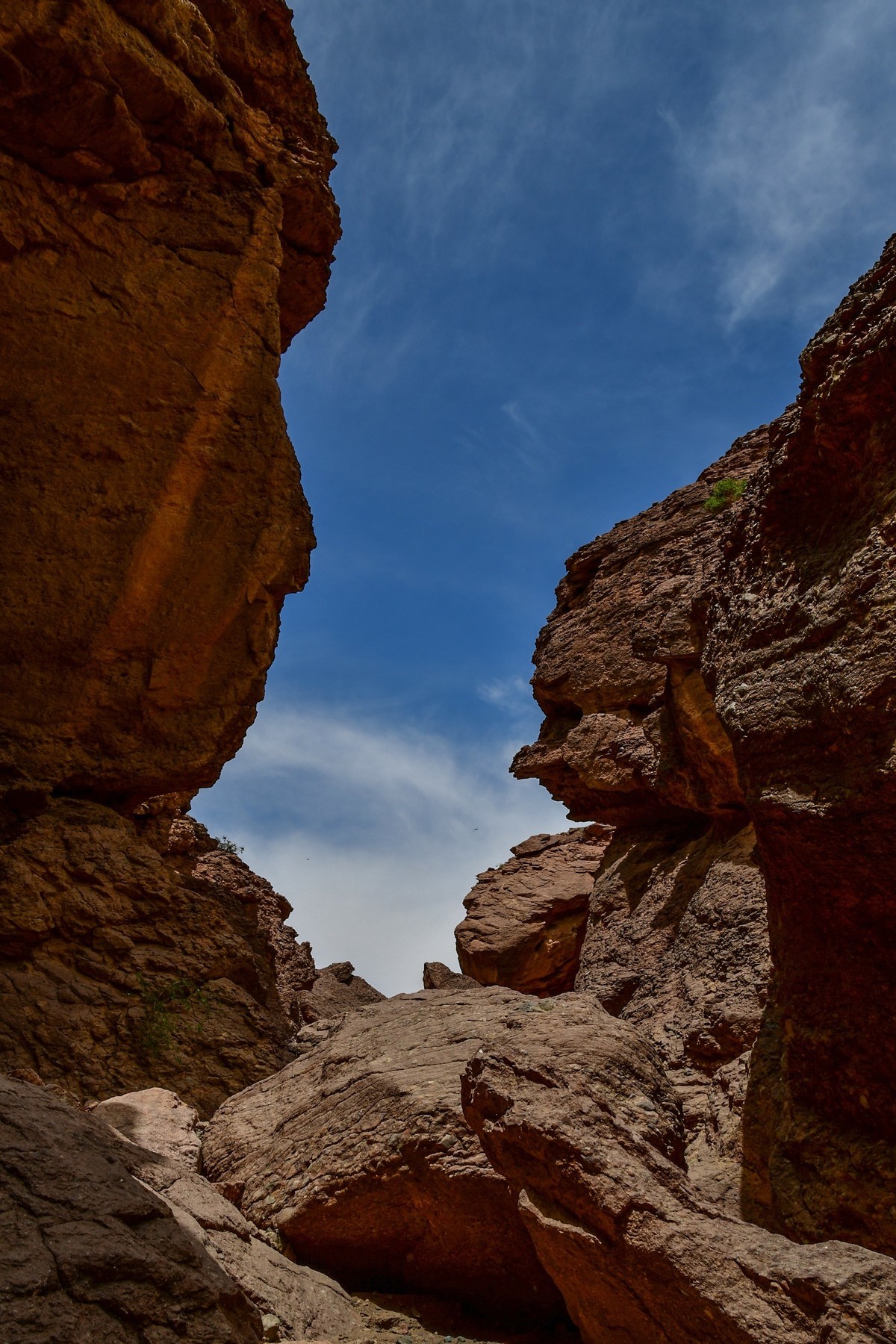 我只是把出去看到的随手记录下来（195）