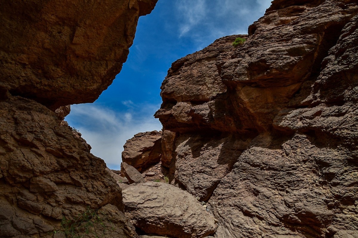 我只是把出去看到的随手记录下来（195）