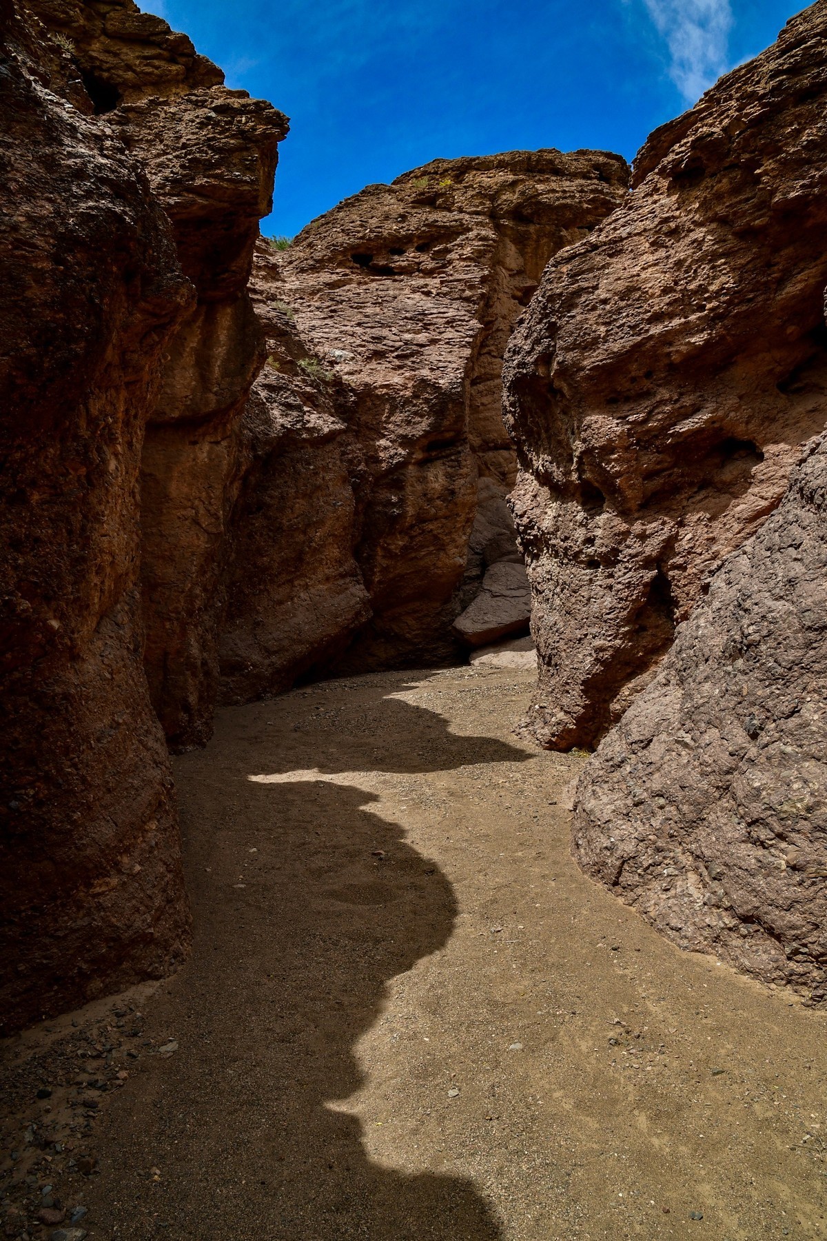 我只是把出去看到的随手记录下来（195）