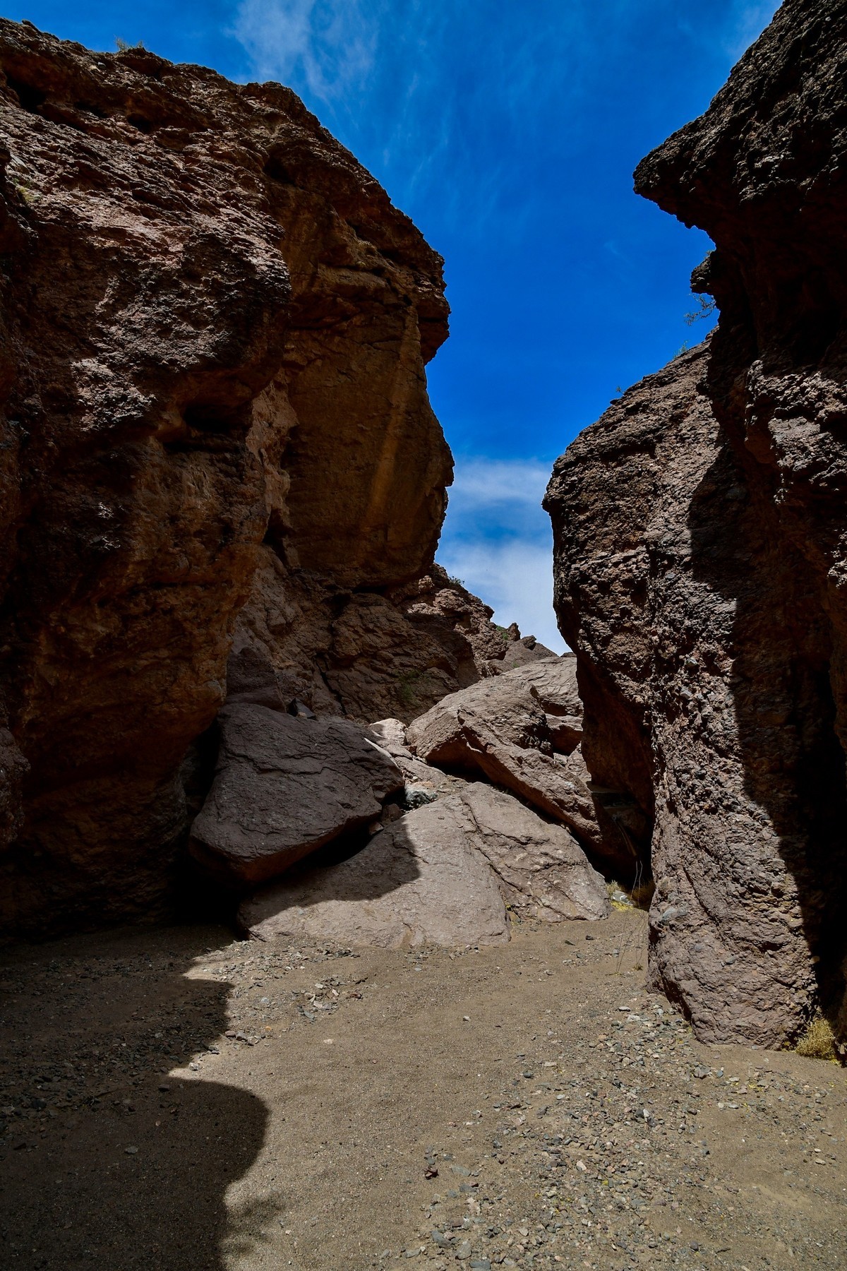 我只是把出去看到的随手记录下来（195）