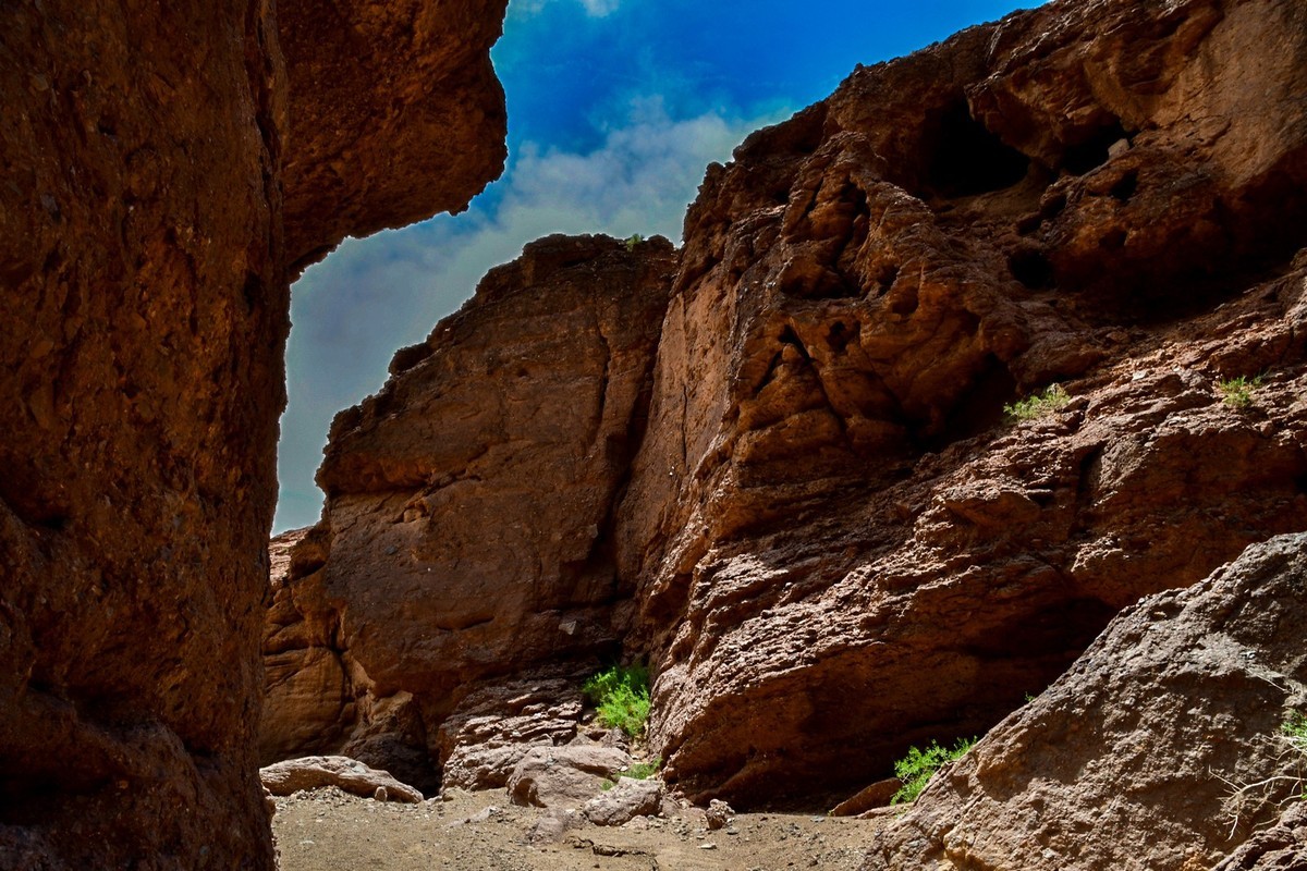 我只是把出去看到的随手记录下来（195）