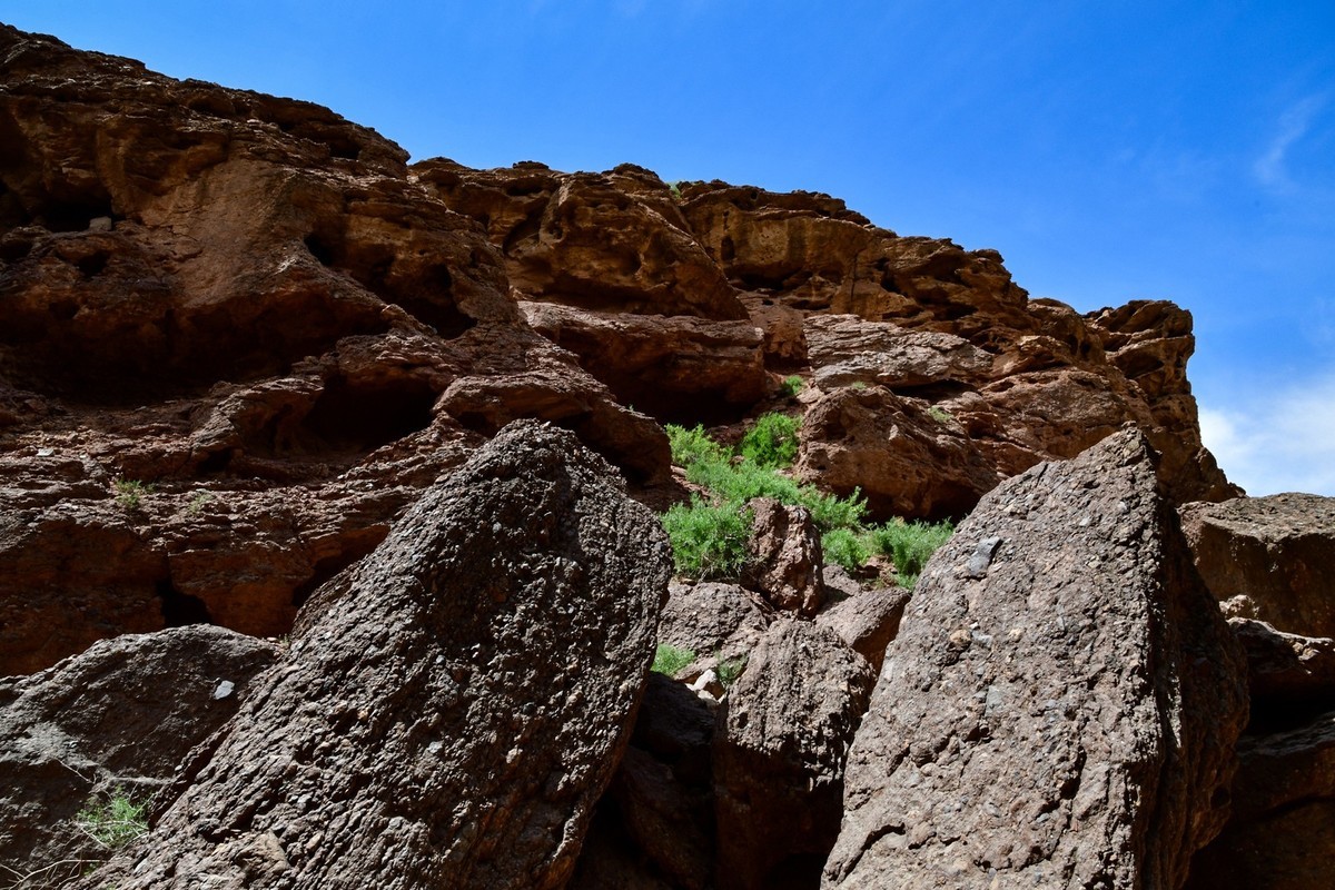 我只是把出去看到的随手记录下来（195）