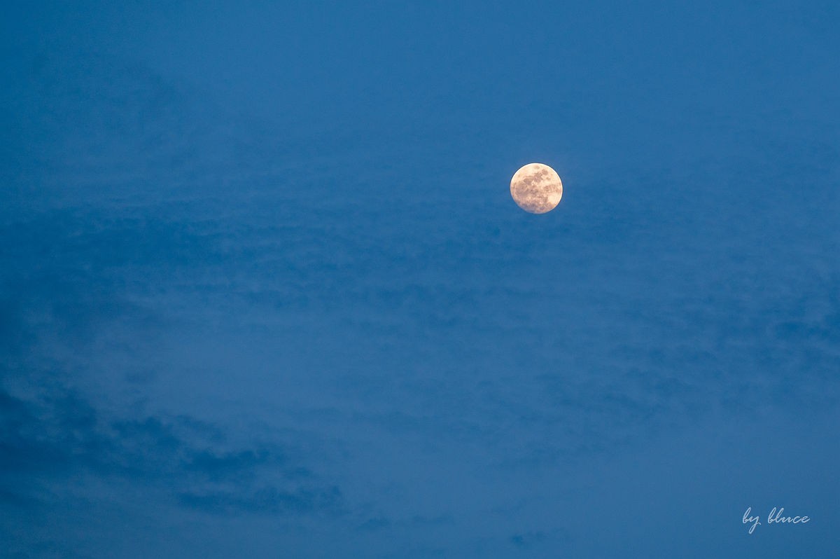 夜幕降临下的干河街（上）