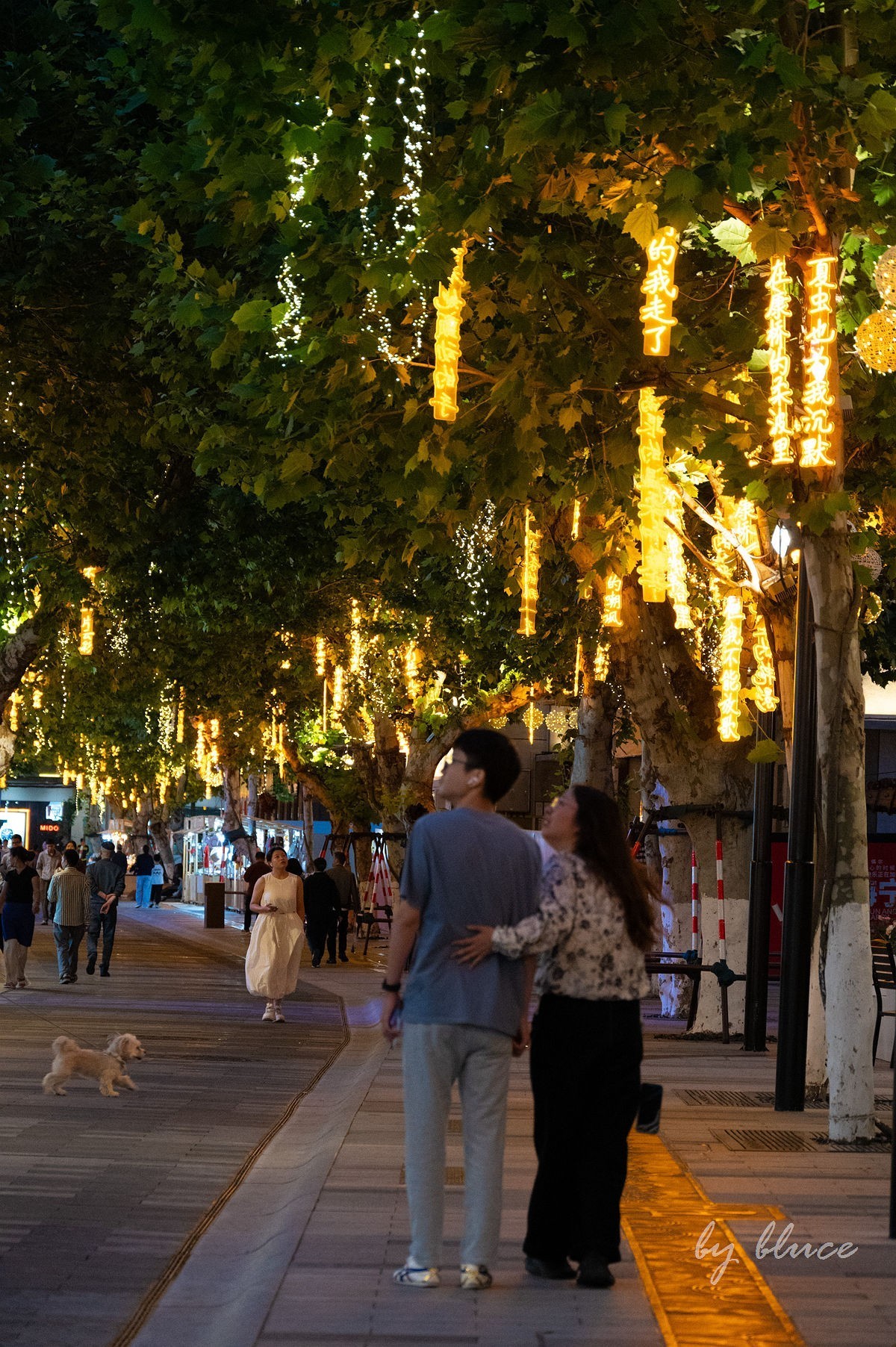 夜幕降临下的干河街（上）