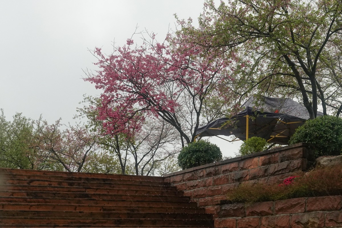 高椅岭1-----景区门外