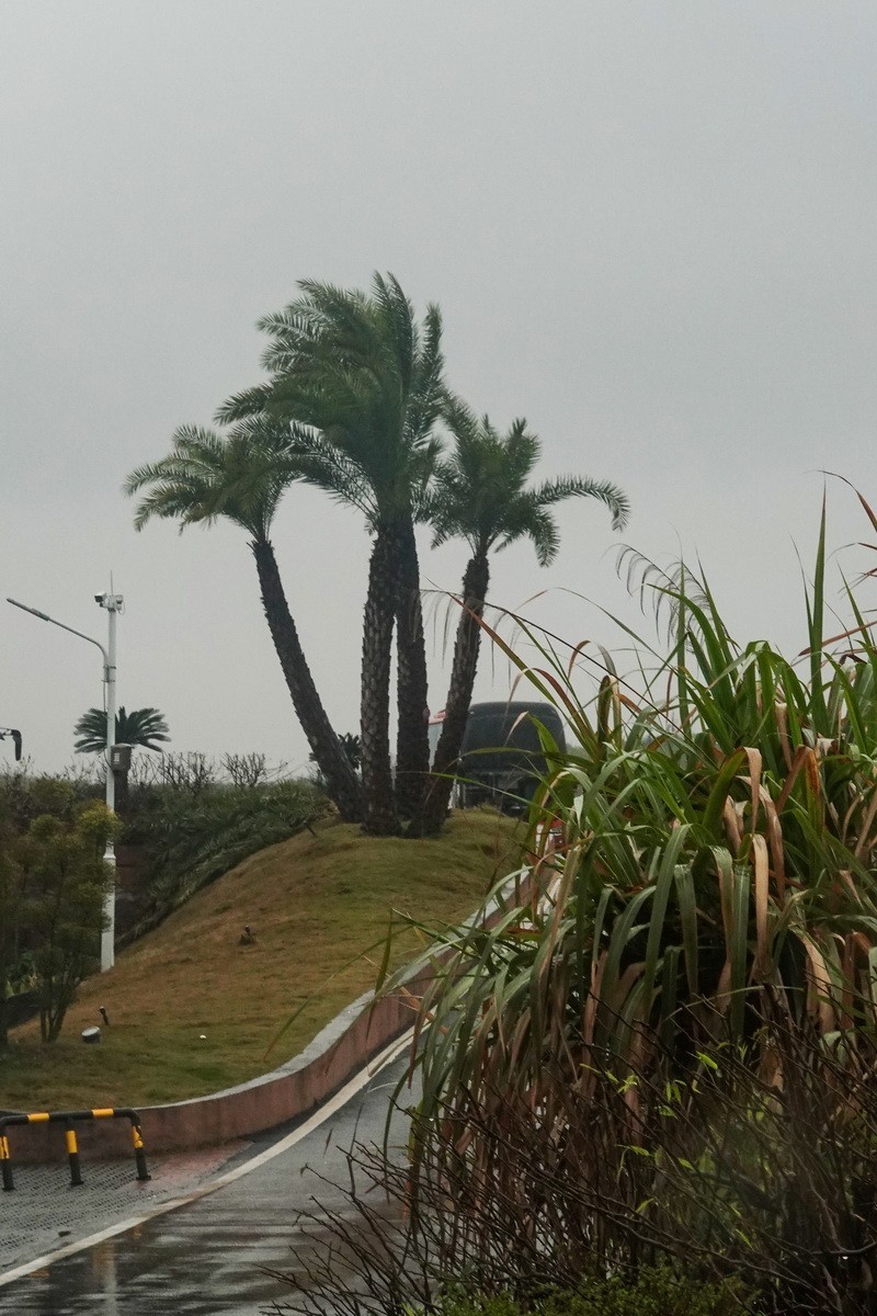 高椅岭1-----景区门外