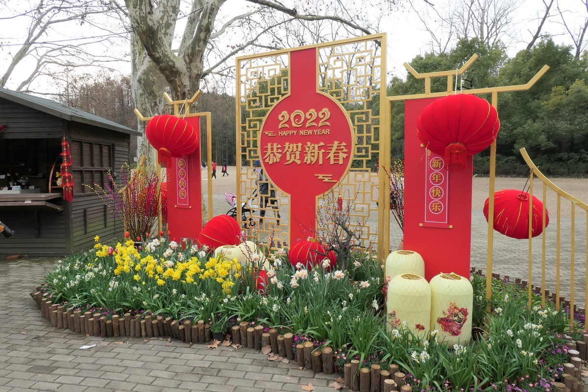 【水仙花】——摄于上海共青森林公园