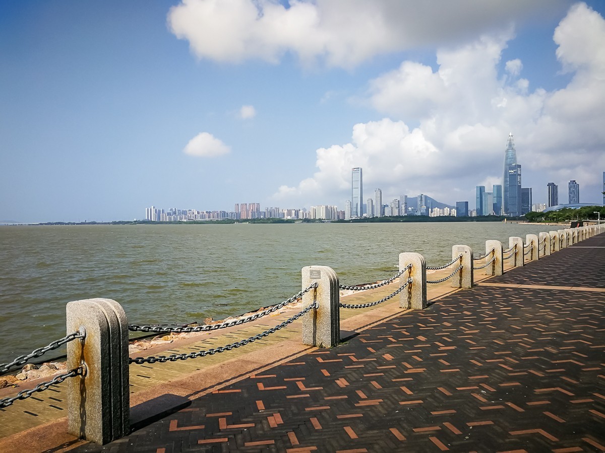深圳湾公园美景图片