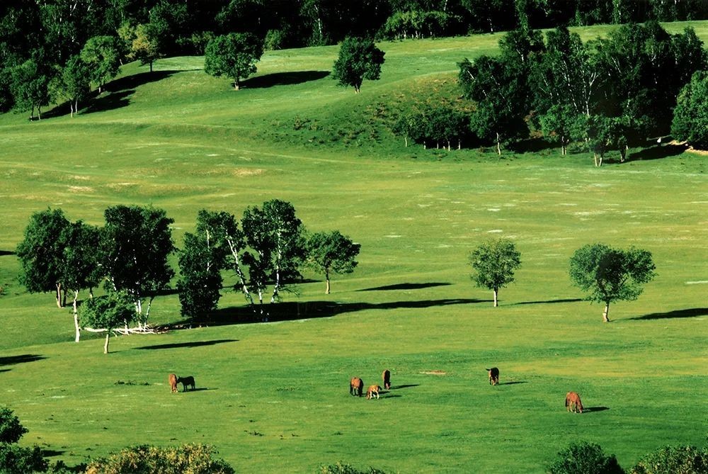 在御道口草原森林风景区一起盼春天到来