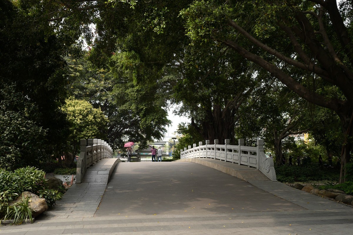 荔湾湖公园随拍（3.15）（9）