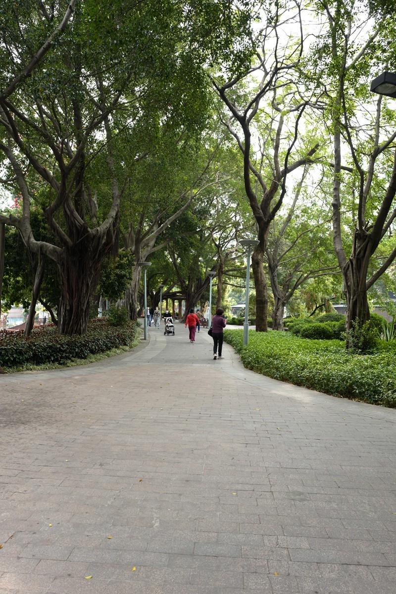 荔湾湖公园随拍（3.15）（9）