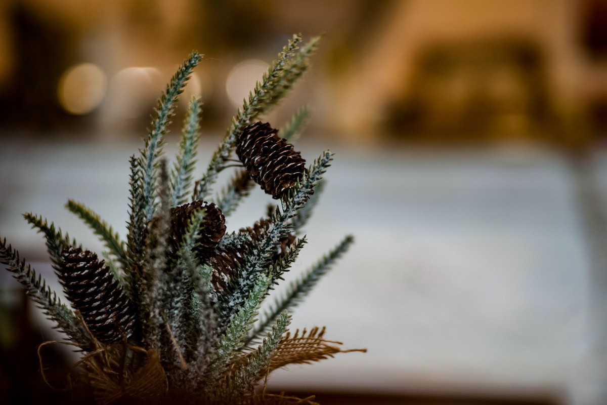 Lecia M10P+LM 35 F1.4 Asph.+90 F2.0 ( 去喝咖啡拍静物 ）