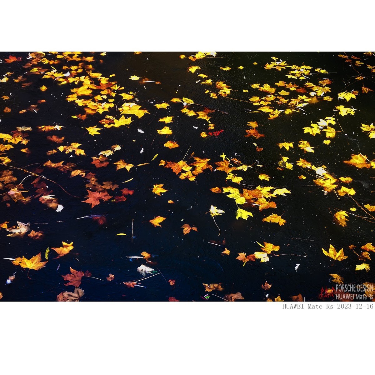 结冰的公园人工湖