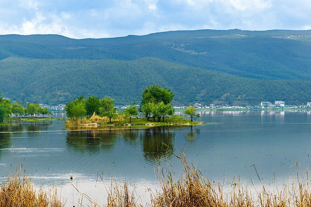丽江拉市海湿地风景