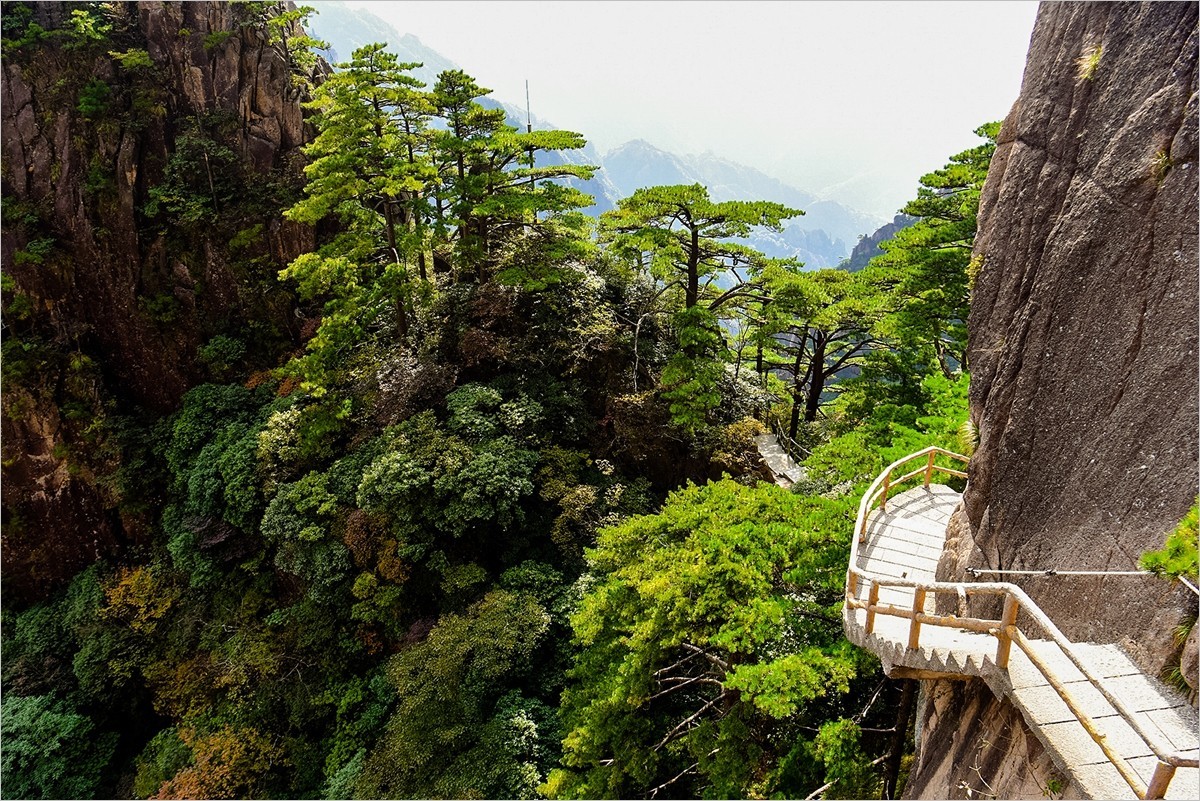 2024年第0774贴-黄山风光纪实游拍（1016）