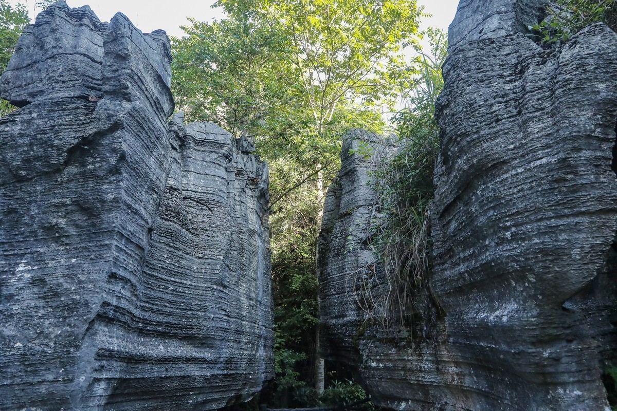 恩施梭布亚石林1----青龙台1
