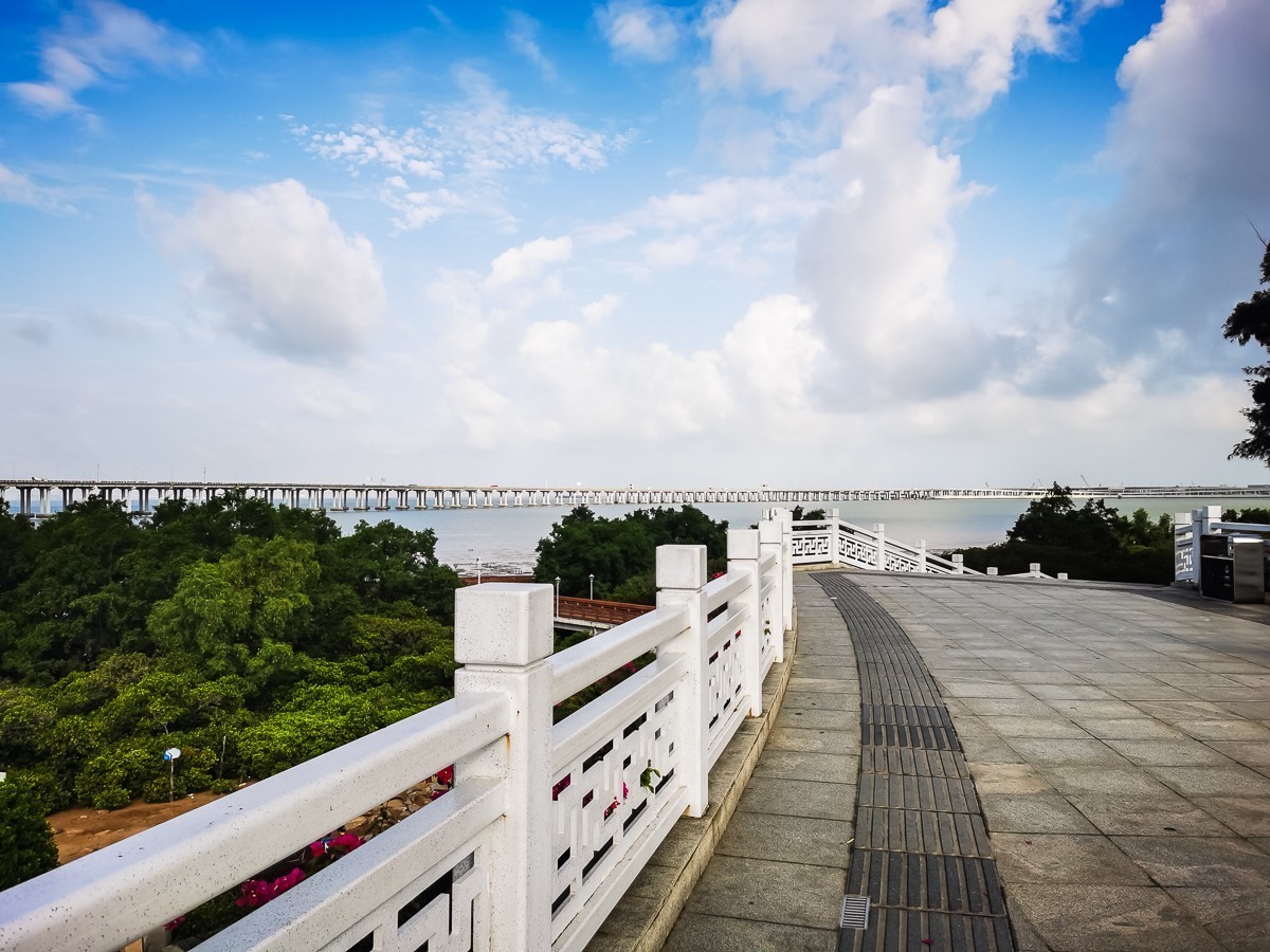 深圳西湾红树林湿地公园掠影