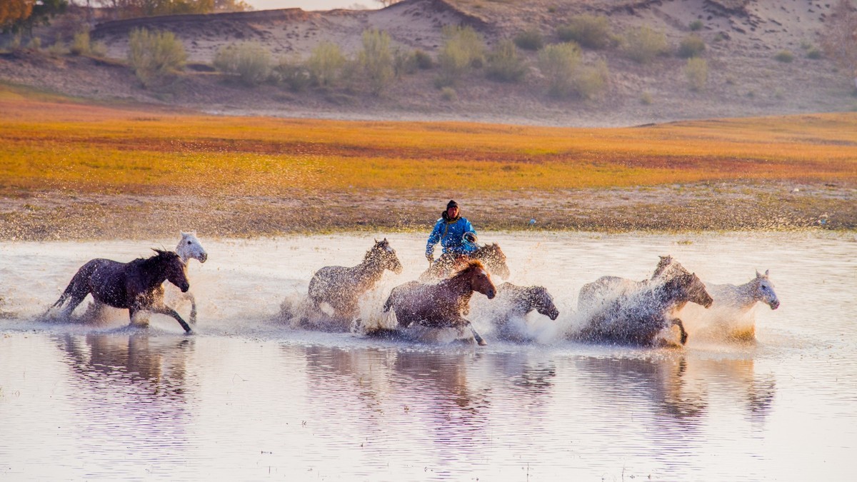 秋天的克什克腾旗------马踏水花
