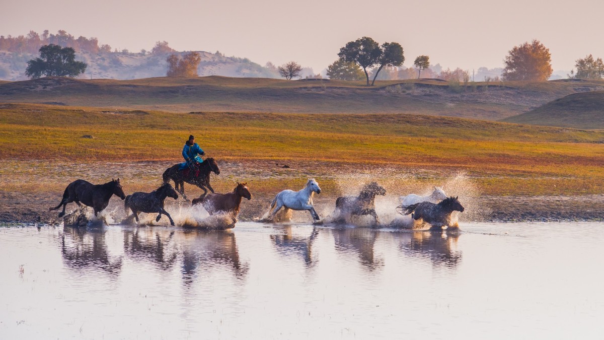 秋天的克什克腾旗------马踏水花