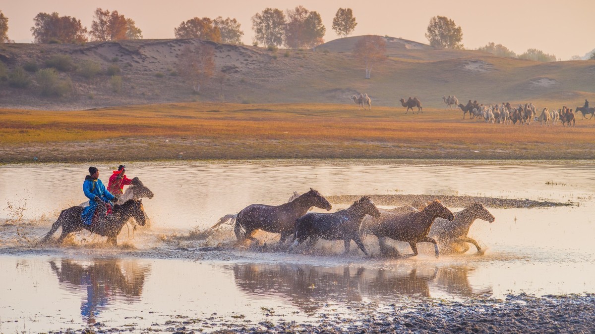 秋天的克什克腾旗------马踏水花