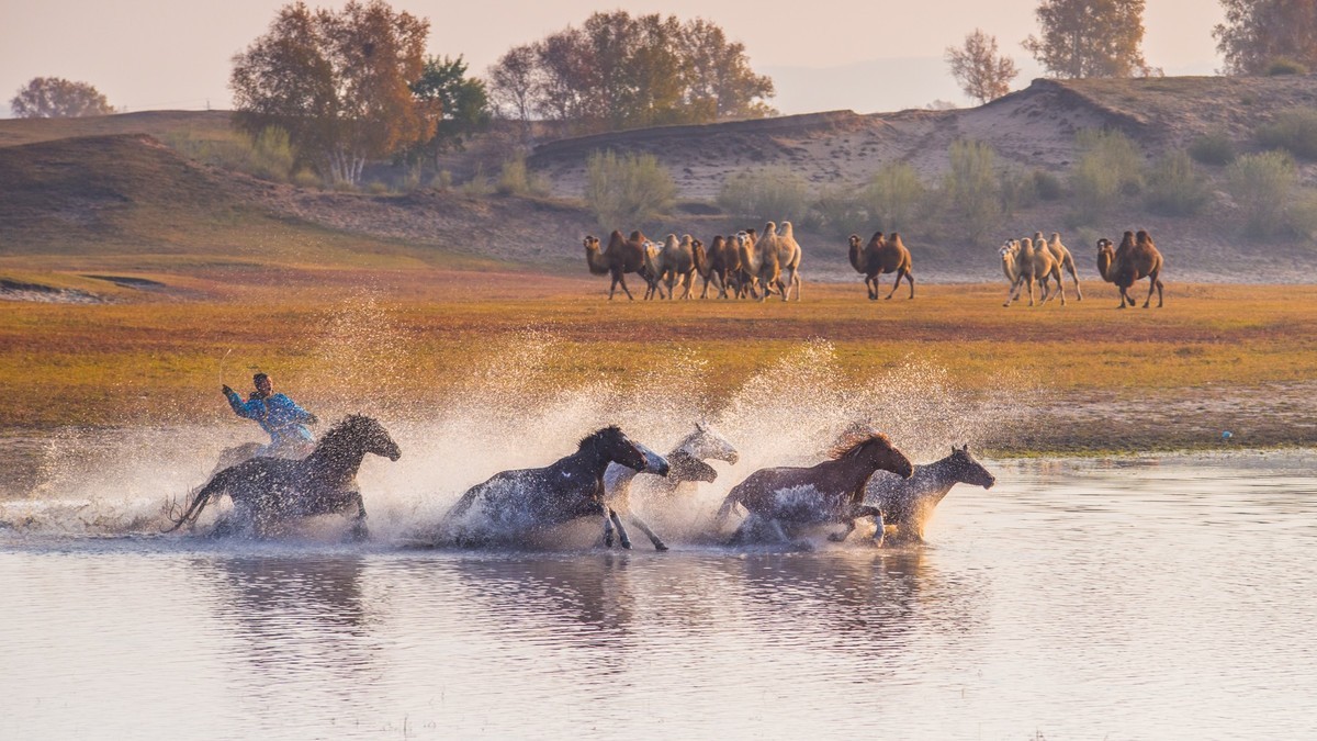 秋天的克什克腾旗------马踏水花