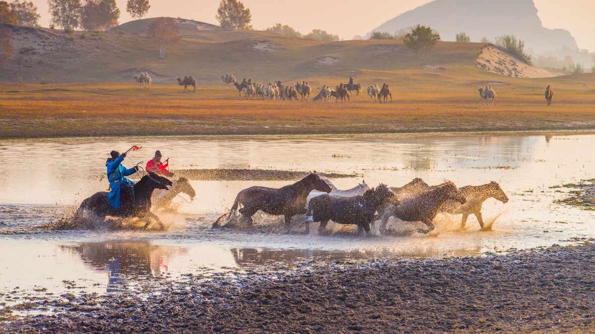 秋天的克什克腾旗------马踏水花