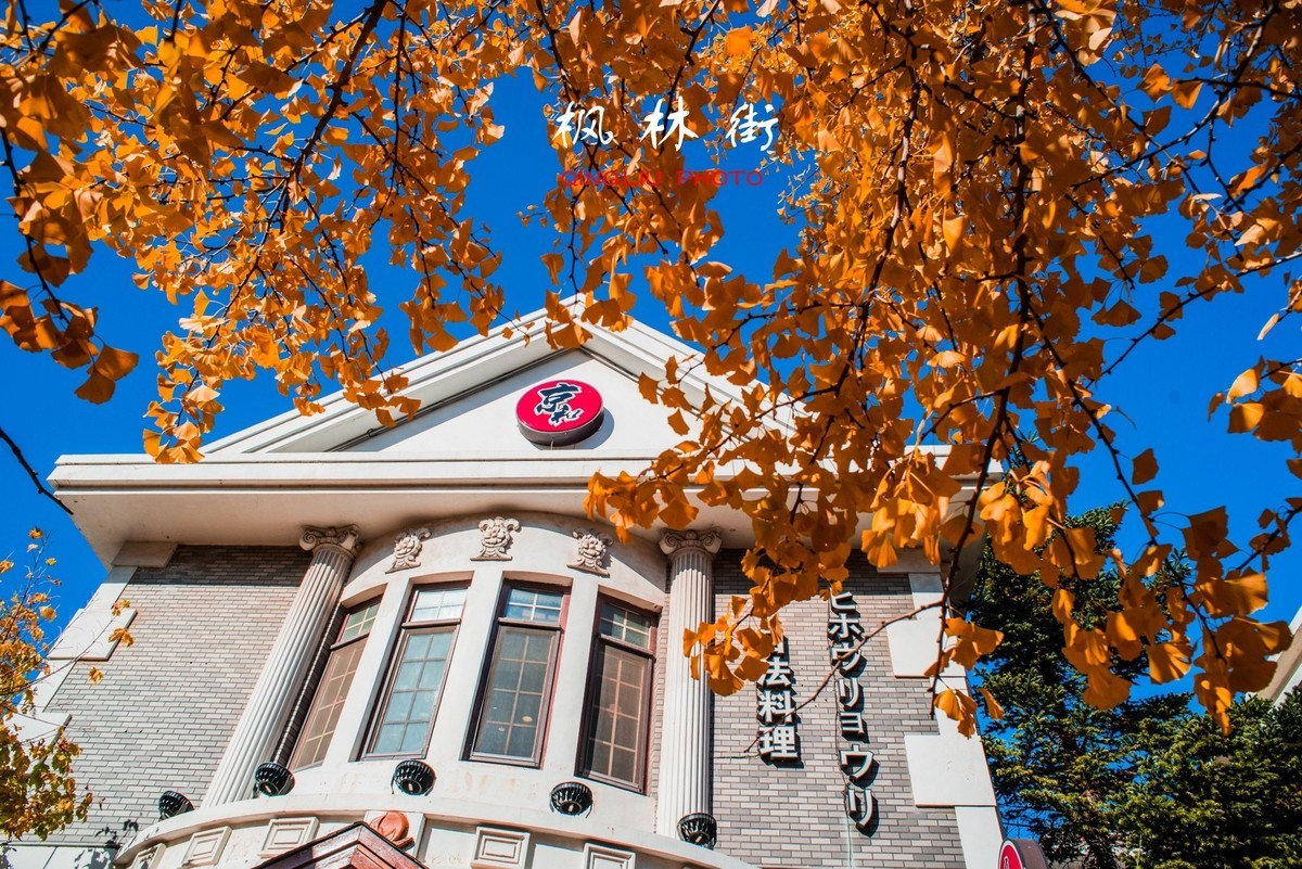 秋染枫林街（二）