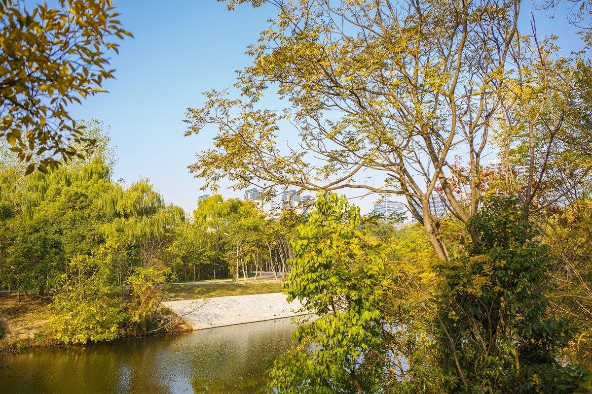 周末秋游合肥庐州公园