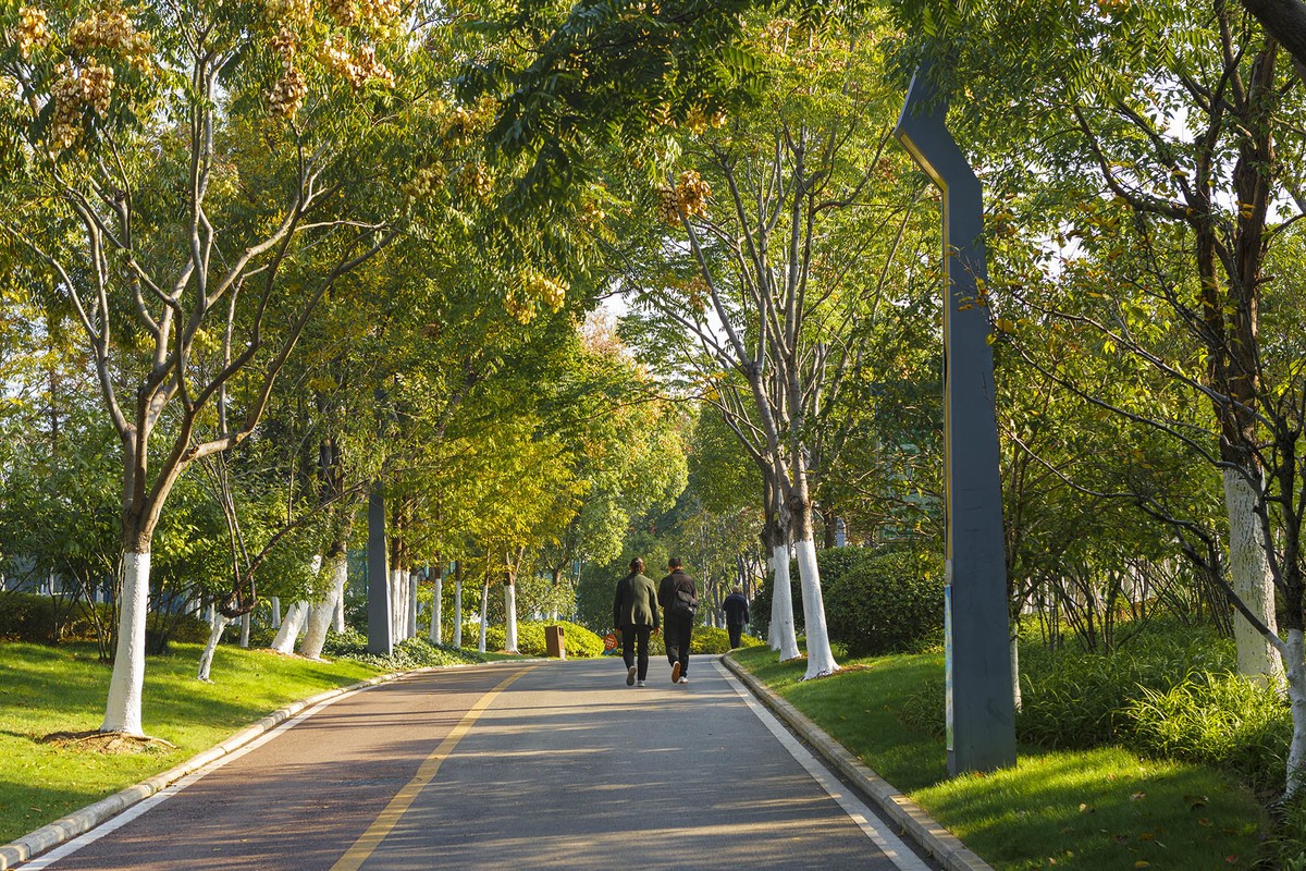 周末秋游合肥庐州公园