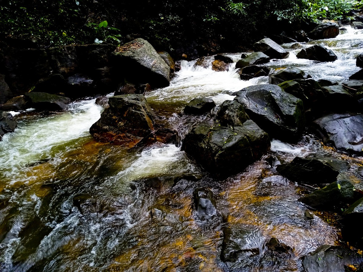 小溪流水哗啦啦（手机随拍 ）