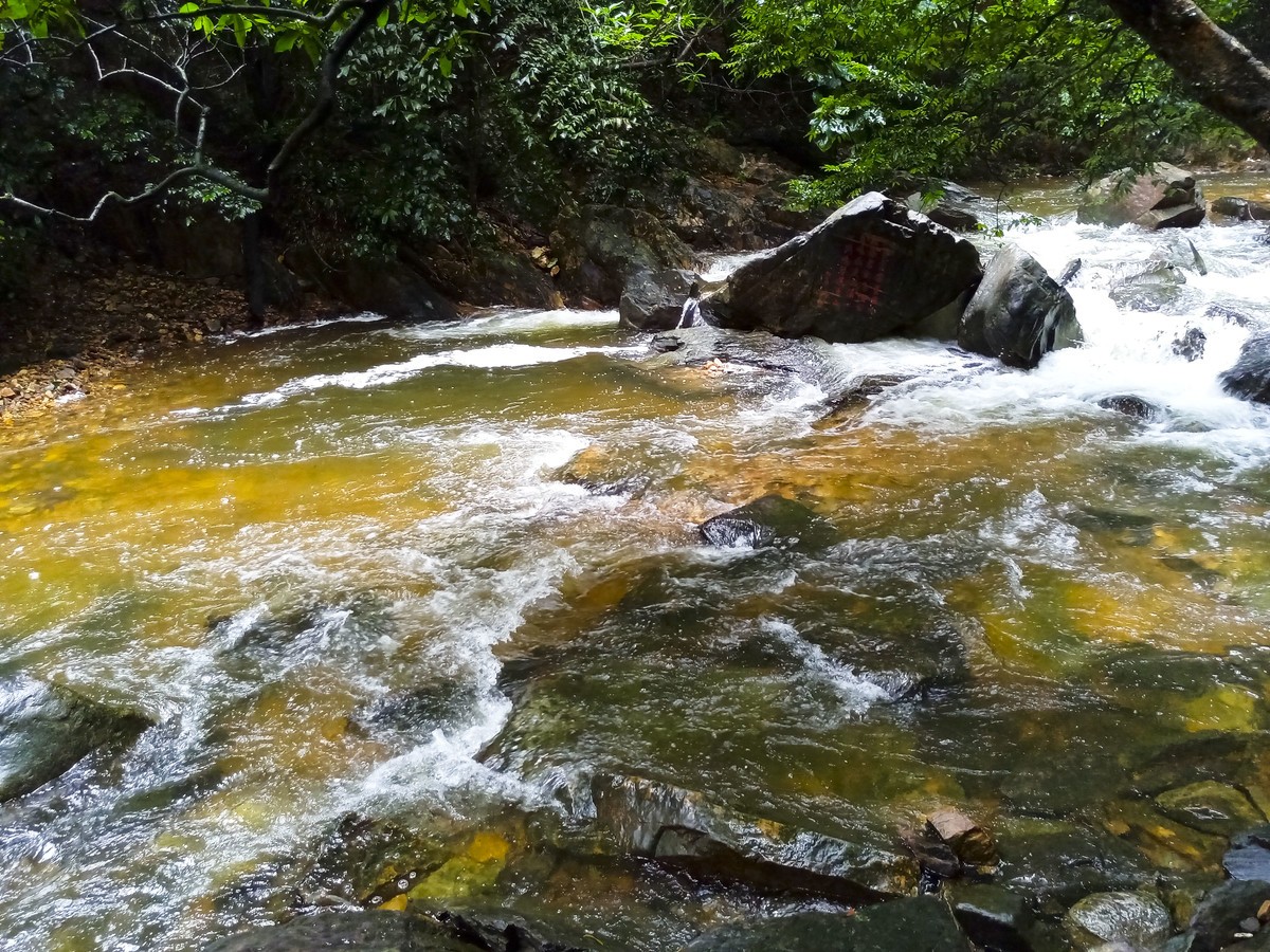 小溪流水哗啦啦（手机随拍 ）