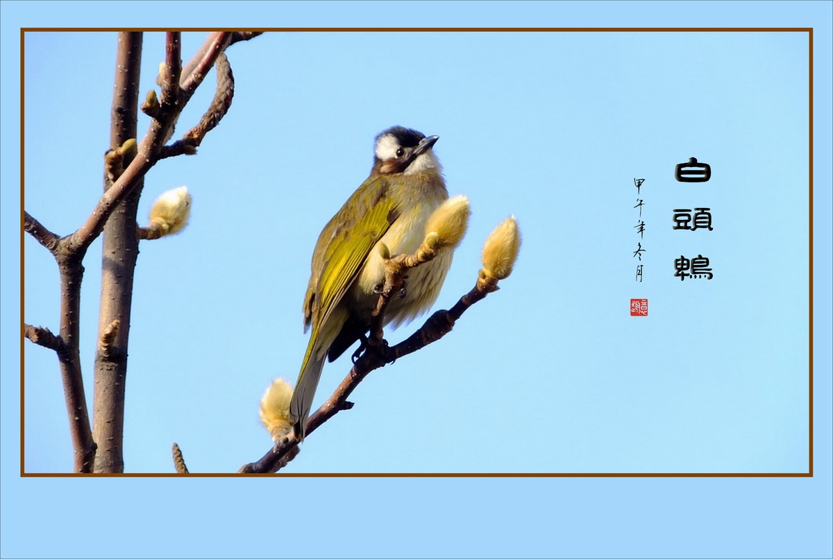 10大朴素羽绒服品牌是什么