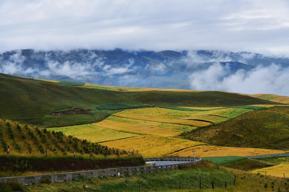 卓尔山风光（5）