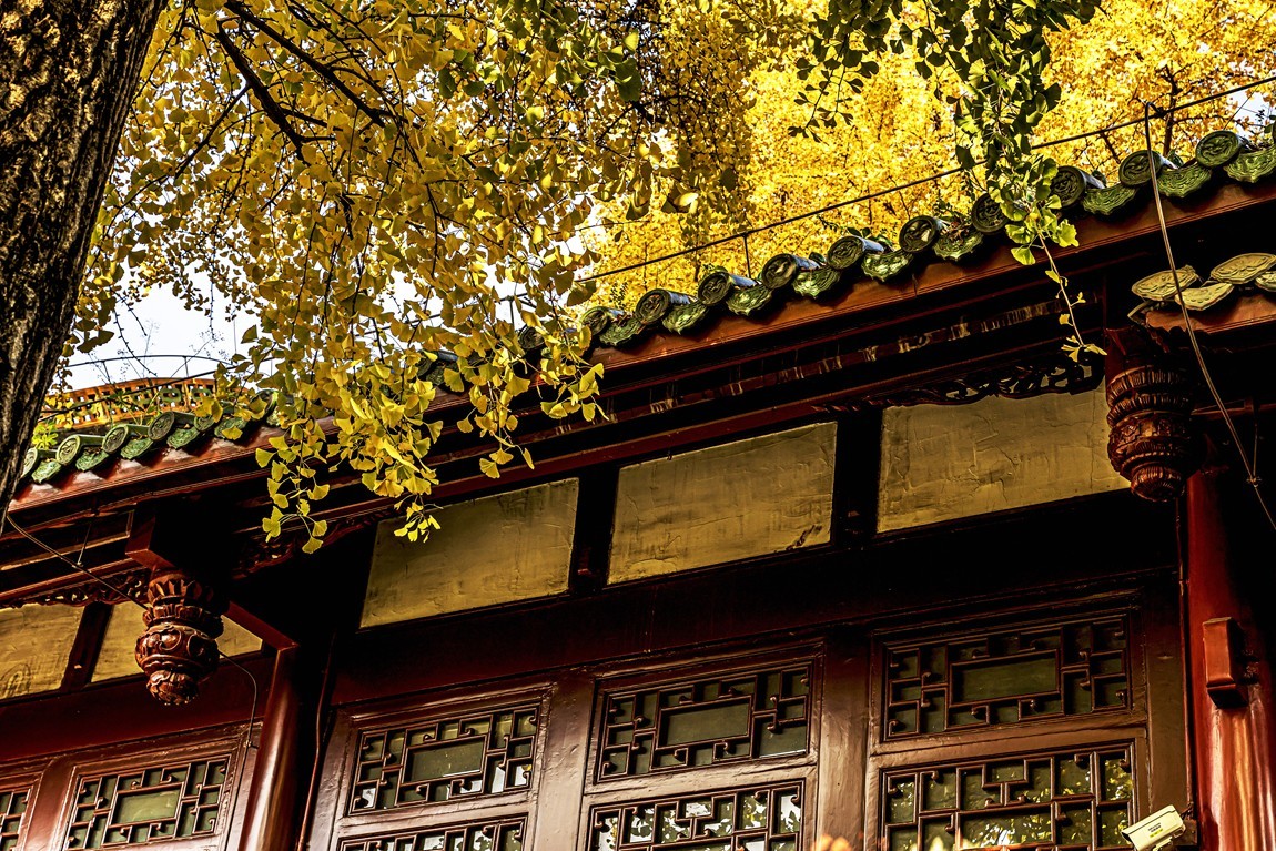 四川成都--崇州--罨画池秋色【1】