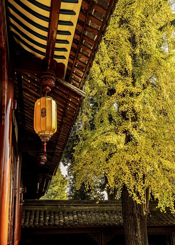 四川成都--崇州--罨画池秋色【1】