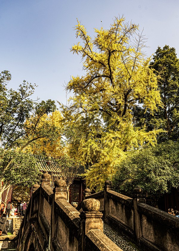 四川成都--崇州--罨画池秋色【1】