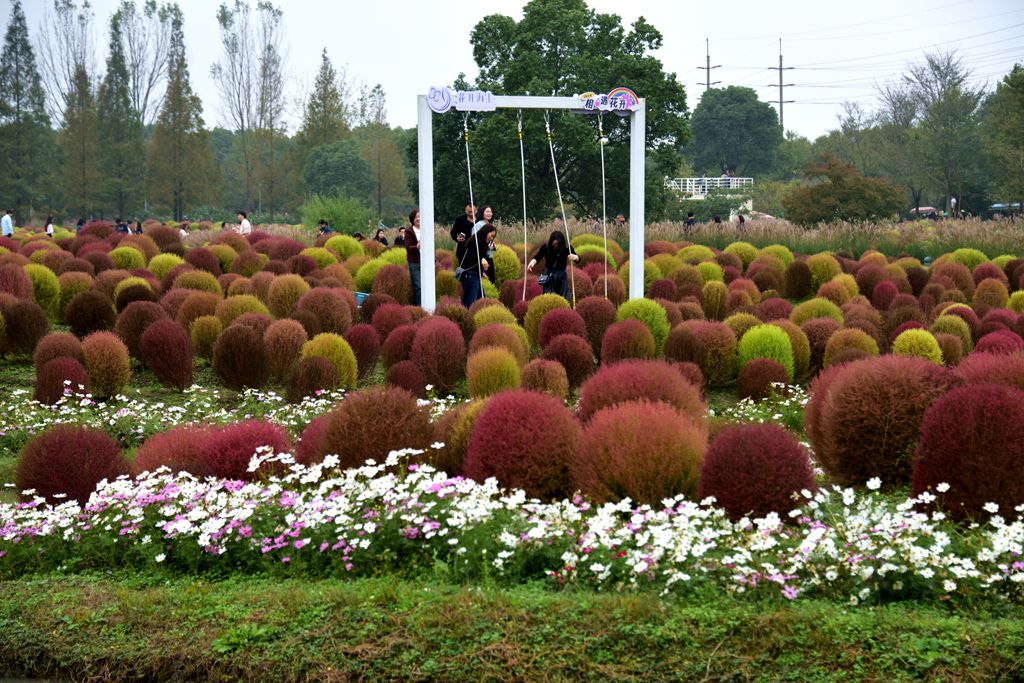 秋园漫步自悠闲