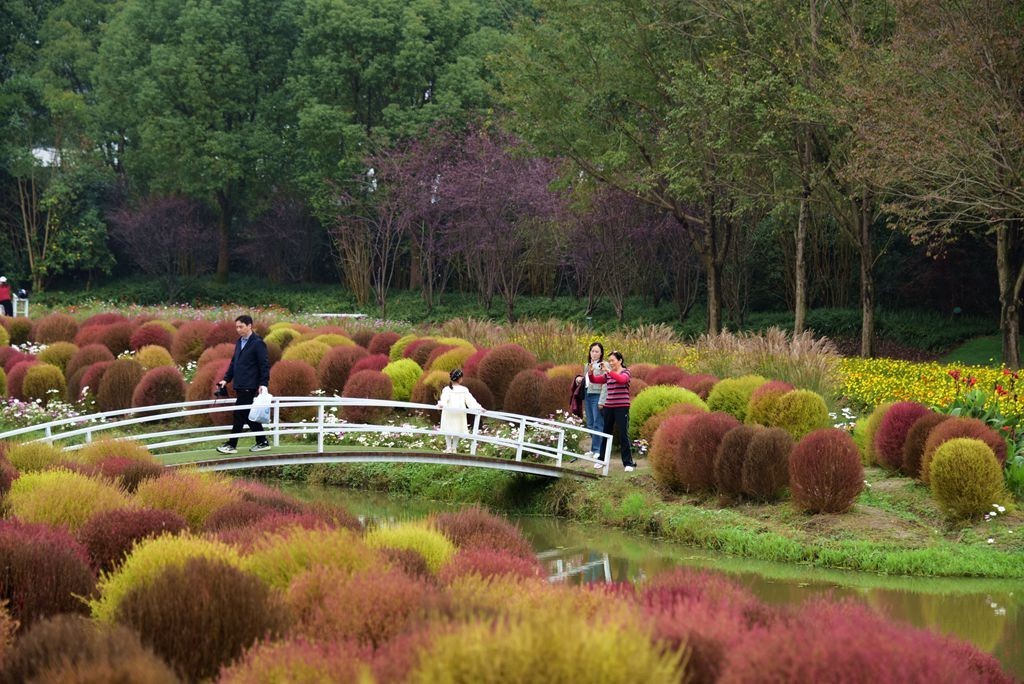 秋园漫步自悠闲