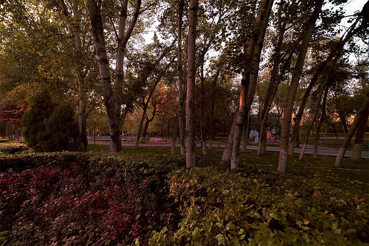 随                                     拍