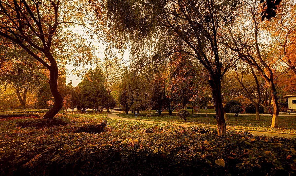 随                                     拍