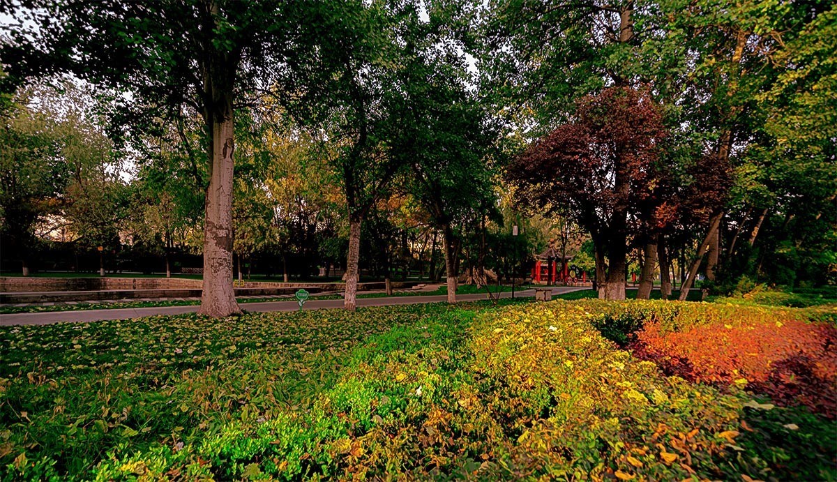 随                                     拍