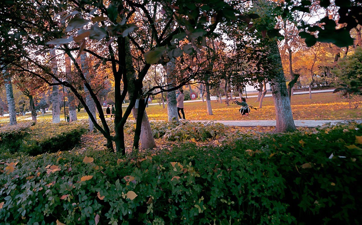 随                                     拍